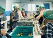 Program MBG di Aceh Besar Jangkau 125 Ribu Penerima, Serap 2.200 Tenaga Kerja Lokal