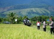 Pemkab Aceh Besar Apresiasi Program Ketahanan Pangan INTI Aceh