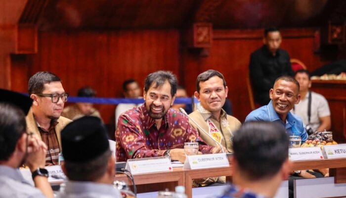 Gubernur Aceh Minta Dana Otsus Abadi 2,5 Persen di Hadapan Banleg DPR RI dalam Rapat Perubahan UUPA