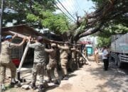 Satpol PP Aceh Besar Kembali Bongkar Lapak Liar PKL di Baitussalam