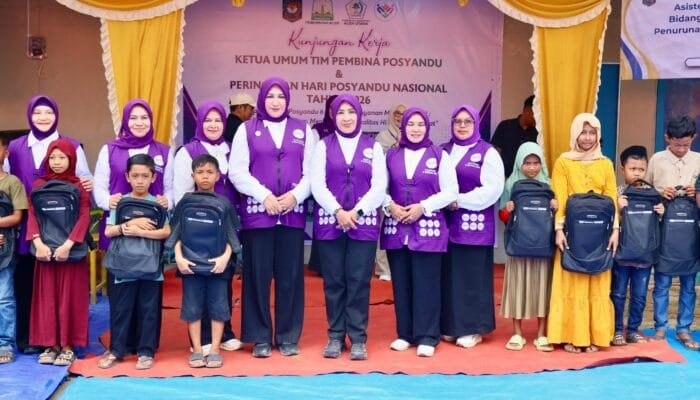 Peringati Hari Posyandu Nasional di Langkahan Aceh Utara, Ketum Posyandu Sosialisasi 6 SPM