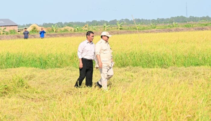 Stok Pangan Nasional Tertinggi Sepanjang Sejarah, Pemerintah Siap Hadapi Ancaman El Nino