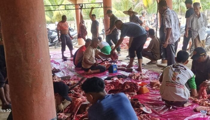 Warga Gampong Keulilee Sembelih Empat Sapi dan Satu Domba
