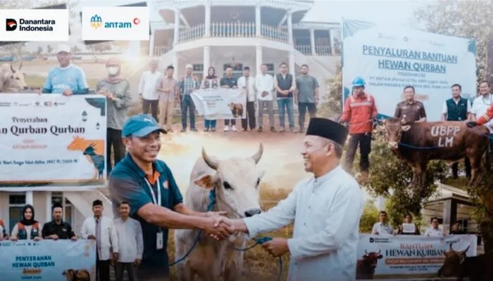 ANTAM Salurkan Ratusan Hewan Kurban ke Berbagai Daerah, Aceh Terima Empat Ekor Sapi