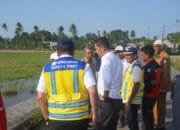 Pemerintah Aceh Targetkan Sawah di Aceh Timur Pulih dan Siap Tanam Bulan Ini