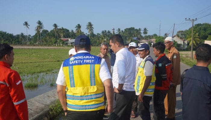 Pemerintah Aceh Targetkan Sawah di Aceh Timur Pulih dan Siap Tanam Bulan Ini