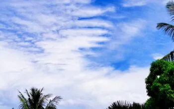 Enam Provinsi Jadi Prioritas Pencegahan Karhutla