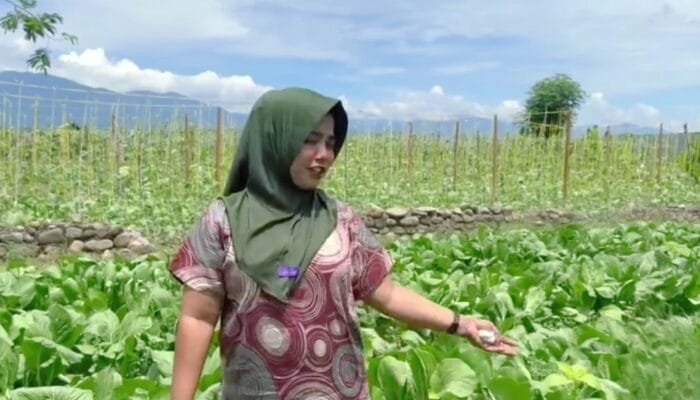 SPPG Aceh Serap Hasil Panen Petani Lokal