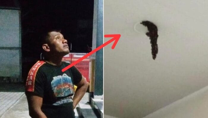 Damkar BPBD Aceh Besar Evakuasi Sarang Lebah yang Resahkan Penghuni Kos