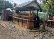 Rampung 100 Persen, Lima Kandang Ayam dan Kolam Lele TMMD 129 Siap Jadi Sumber Pangan Warga
