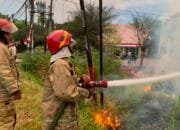 Api Lahap Lahan Kebun Depan Kantor Camat Montasik, Diduga Dipicu Pembakaran Sampah