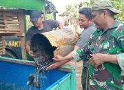 Satgas TMMD Bantu Lima Keluarga Kurang Mampu di Pidie, Rumah Layak Huni hingga Usaha Produktif