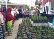 Camat Darul Imarah Serahkan Bibit Cabai Program Gerakan Ketahanan Pangan Keluarga Leu Ue