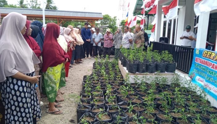 Camat Darul Imarah Serahkan Bibit Cabai Program Gerakan Ketahanan Pangan Keluarga Leu Ue