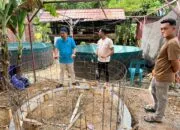 Pemuda Mata Ie Budidaya Lele dengan Teknologi Bioflok