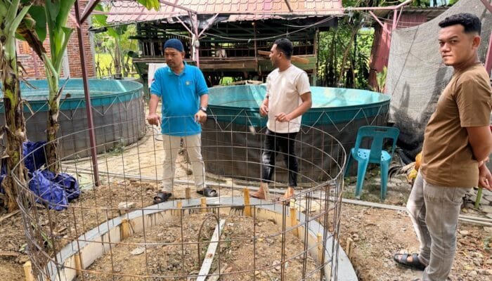 Pemuda Mata Ie Budidaya Lele dengan Teknologi Bioflok