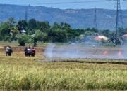 Damkar Aceh Besar Padamkan Karhutla di Tengah Sawah