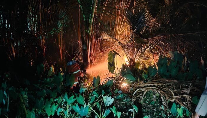 Bakar Sampah Sembarangan Picu Karhutla, Damkar Aceh Besar Bergerak Cepat