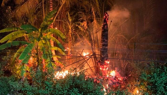 Kebakaran Lahan Rumbia di Simpang Tiga Bikin Warga Panik