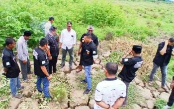 Banjir Lumpuhkan 500 Hektare Sawah di Simpang Ulim, Satgassus Turun Cek Kondisi Lahan