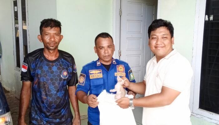 Bikin Pemilik Panik, Anak Kucing Terjebak di Plafon hingga Damkar Turun Tangan