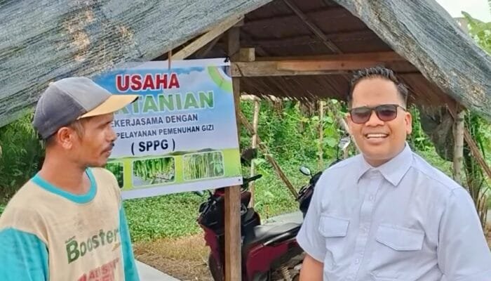 Program MBG Untungkan Petani dan UMKM