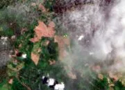 Pemkab Aceh Timur Diminta Hentikan Land Clearing Ilegal Ratusan Hektar di Seuneubok Bayu
