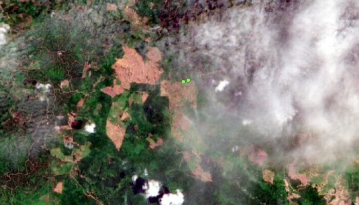 Pemkab Aceh Timur Diminta Hentikan Land Clearing Ilegal Ratusan Hektar di Seuneubok Bayu