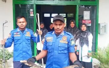 Heboh! Biawak Terjebak di Ruangan Kantor KUA Kuta Malaka, Damkar Aceh Besar Turun Tangan