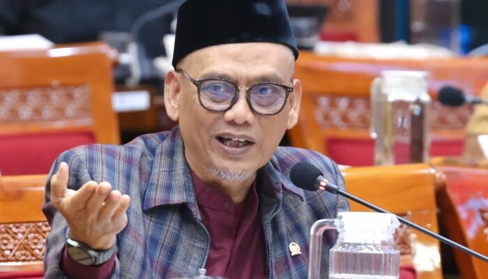 Joki Skripsi Jadi Sorotan Anggota DPR RI